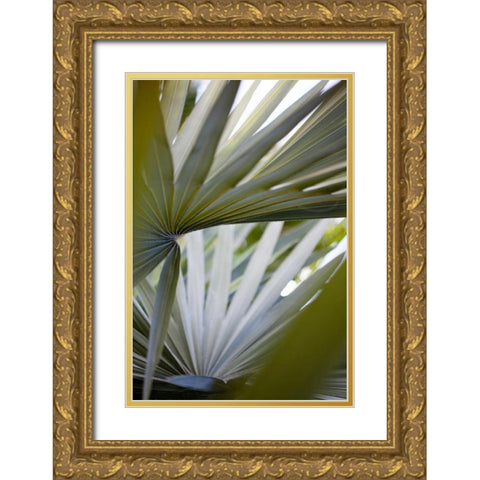 Transcending I Gold Ornate Wood Framed Art Print with Double Matting by Mourier, Lily