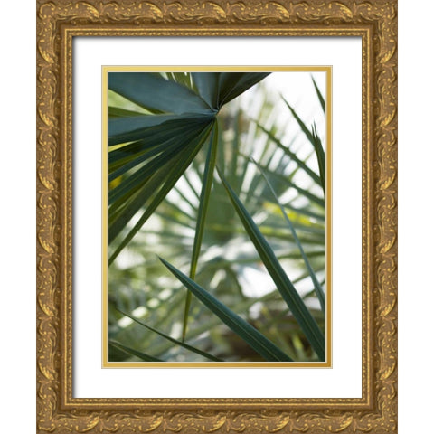 Transcending II Gold Ornate Wood Framed Art Print with Double Matting by Mourier, Lily