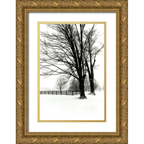 Snowy Wonderland II Gold Ornate Wood Framed Art Print with Double Matting by Denardo, Laura