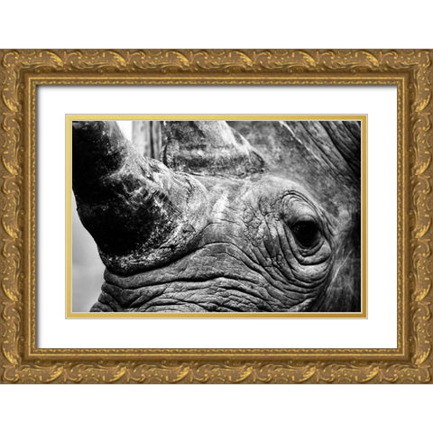 Strength Gold Ornate Wood Framed Art Print with Double Matting by Drummond, Max