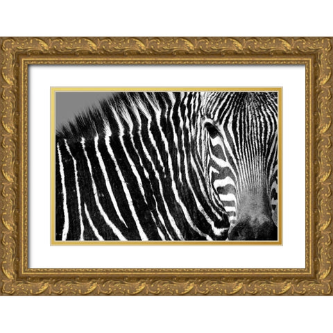 Curiosity Gold Ornate Wood Framed Art Print with Double Matting by Drummond, Max