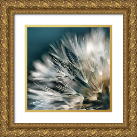 Dandelion Dreams I Gold Ornate Wood Framed Art Print with Double Matting by Miller, Irene