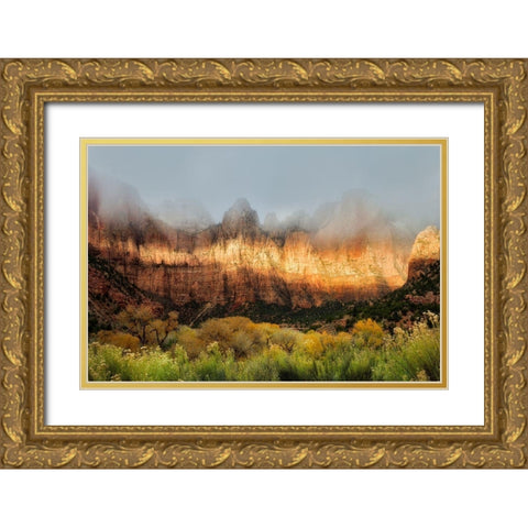 Sun Streaking  Gold Ornate Wood Framed Art Print with Double Matting by Frates, Nicki
