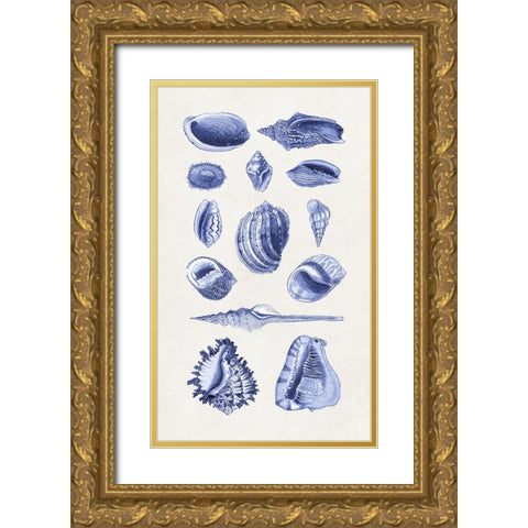Blue Shells II Gold Ornate Wood Framed Art Print with Double Matting by Haase, Andrea