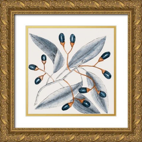 Vintage Blue Botanical I Gold Ornate Wood Framed Art Print with Double Matting by Haase, Andrea
