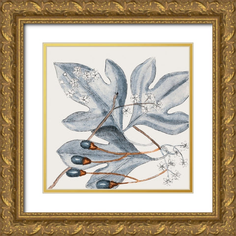 Vintage Blue Botanical II Gold Ornate Wood Framed Art Print with Double Matting by Haase, Andrea