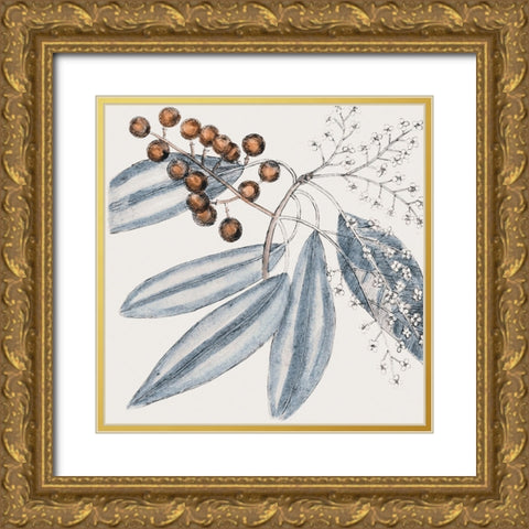 Vintage Blue Botanical IV Gold Ornate Wood Framed Art Print with Double Matting by Haase, Andrea