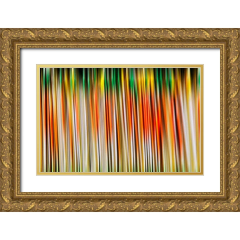 Undulate I Gold Ornate Wood Framed Art Print with Double Matting by Nall, Skip