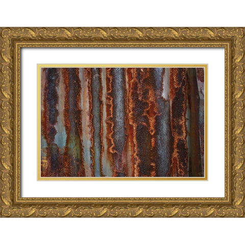 Metal III Gold Ornate Wood Framed Art Print with Double Matting by Stelfox, Norm