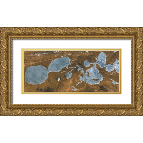 Spotted Terrain Gold Ornate Wood Framed Art Print with Double Matting by Stelfox, Norm