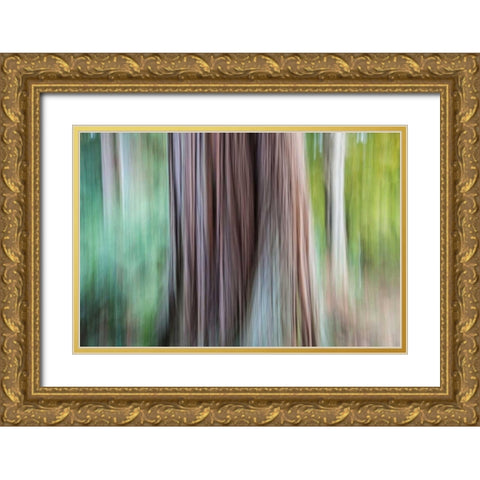 So Keen I Gold Ornate Wood Framed Art Print with Double Matting by Stelfox, Norm