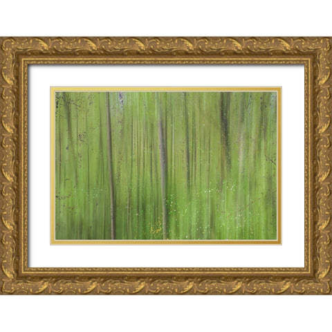 Green II Gold Ornate Wood Framed Art Print with Double Matting by Stelfox, Norm