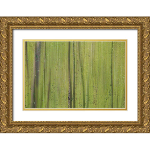 Green III Gold Ornate Wood Framed Art Print with Double Matting by Stelfox, Norm