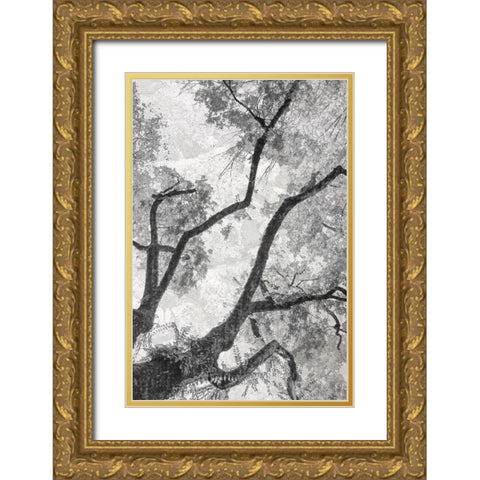Gloomy Branches Gold Ornate Wood Framed Art Print with Double Matting by Stelfox, Norm