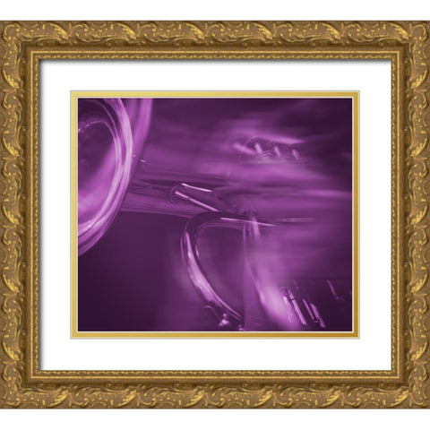 Trumpet Vibrations  Gold Ornate Wood Framed Art Print with Double Matting by Stelfox, Norm