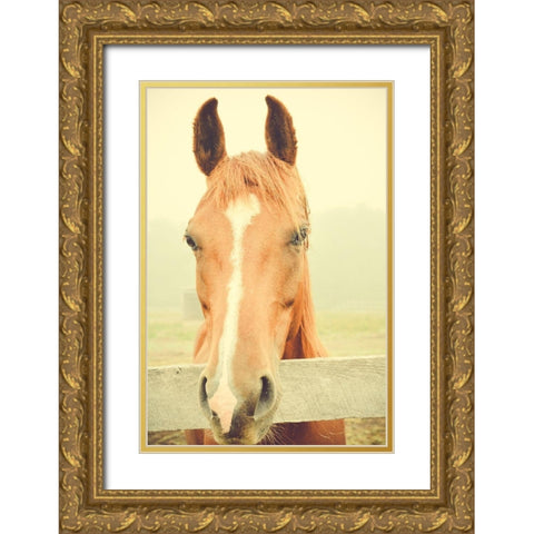 Willow Way Ranch Gold Ornate Wood Framed Art Print with Double Matting by Joy, Olivia