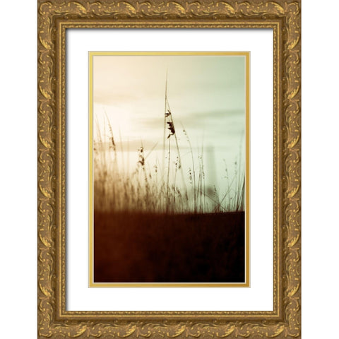 Quiet Dusk II Gold Ornate Wood Framed Art Print with Double Matting by Joy, Olivia