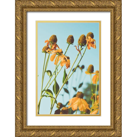 Reaching Sunlight  Gold Ornate Wood Framed Art Print with Double Matting by Joy, Olivia