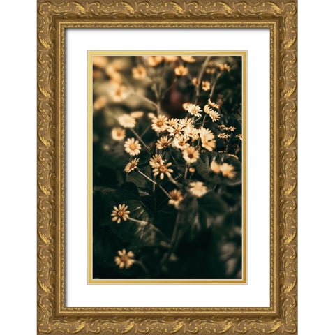 Little Garden Gold Ornate Wood Framed Art Print with Double Matting by Joy, Olivia
