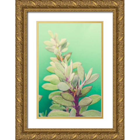 Green Blossom  Gold Ornate Wood Framed Art Print with Double Matting by Joy, Olivia