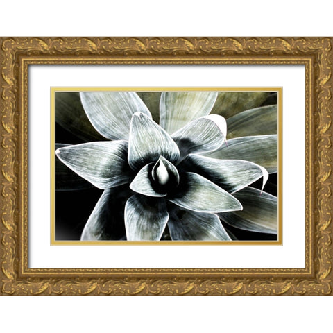 California Succulent Gold Ornate Wood Framed Art Print with Double Matting by Orlov, Irena