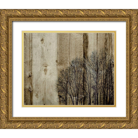 Three Barns Gold Ornate Wood Framed Art Print with Double Matting by Kirshner, Dmitry