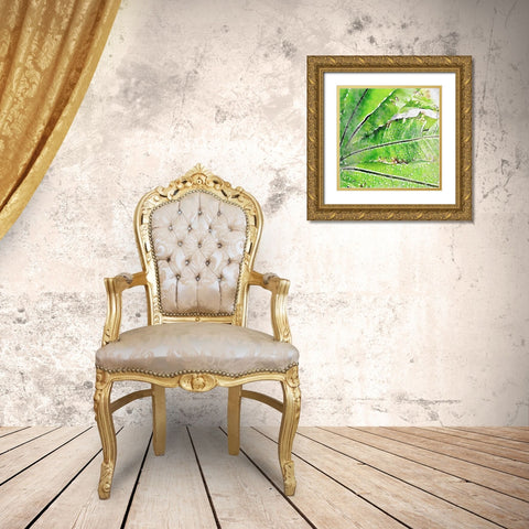 Rustic Green Embrace II Gold Ornate Wood Framed Art Print with Double Matting by Orlov, Irena