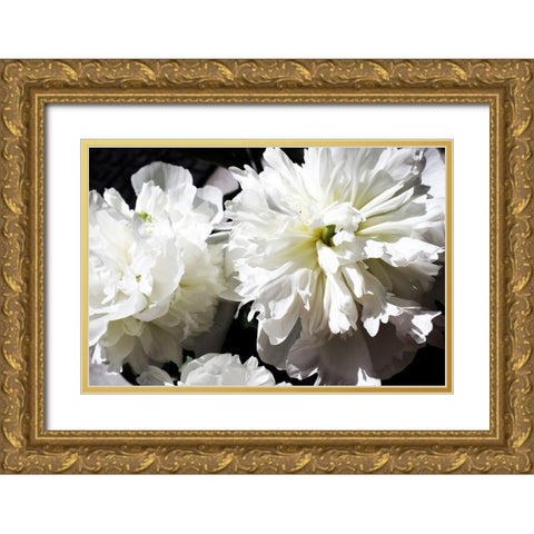 White Peony II  Gold Ornate Wood Framed Art Print with Double Matting by Orlov, Irena