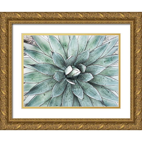 Stunning Agave I Gold Ornate Wood Framed Art Print with Double Matting by Orlov, Irena