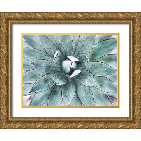 Stunning Agave II Gold Ornate Wood Framed Art Print with Double Matting by Orlov, Irena