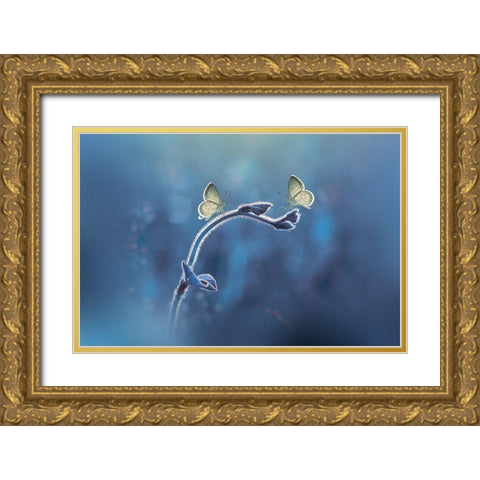 Priyadi-Two Butterflies Meet Each Other Gold Ornate Wood Framed Art Print with Double Matting by 1x