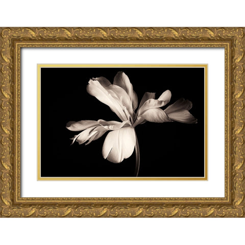 Untitled Gold Ornate Wood Framed Art Print with Double Matting by Myles