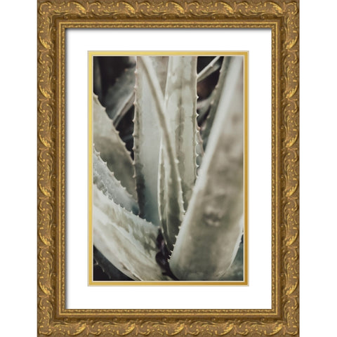 Studio III - Aloe 001 Gold Ornate Wood Framed Art Print with Double Matting by Studio III