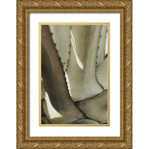 Studio III - Agave 002 Gold Ornate Wood Framed Art Print with Double Matting by Studio III