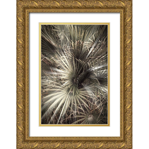 Studio III - Palmblad 006 Gold Ornate Wood Framed Art Print with Double Matting by Studio III