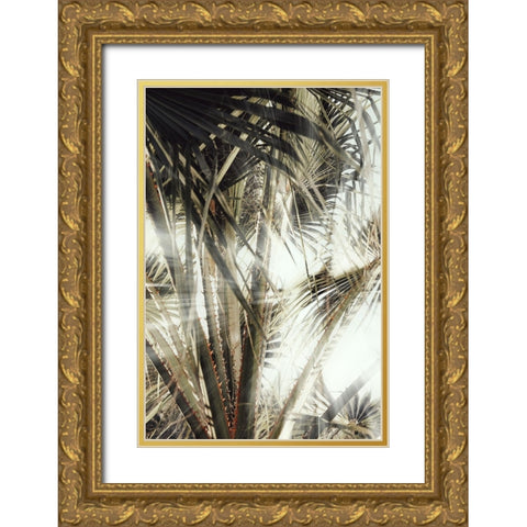 Studio III - Palmblad 003 Gold Ornate Wood Framed Art Print with Double Matting by Studio III