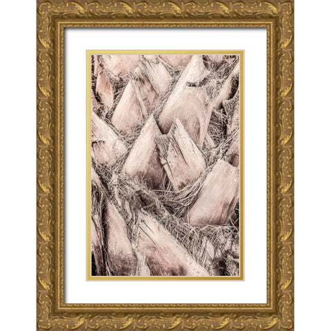 Studio III - Solaris 07 Gold Ornate Wood Framed Art Print with Double Matting by Studio III