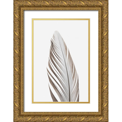 Studio III - Feather 003  Gold Ornate Wood Framed Art Print with Double Matting by Studio III