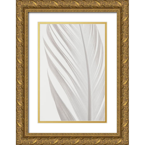 Studio III - Feather 006 Gold Ornate Wood Framed Art Print with Double Matting by Studio III