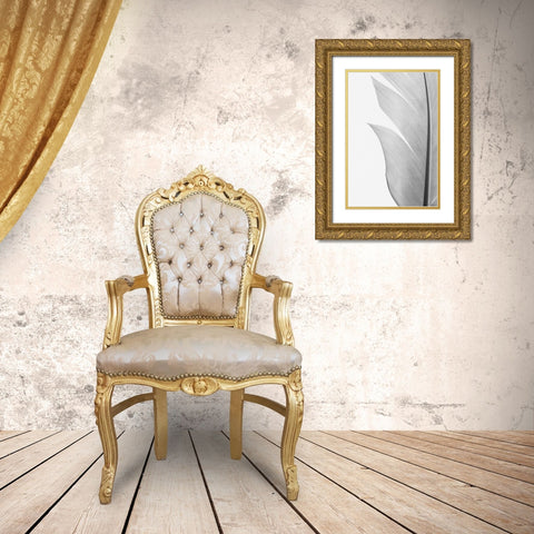 Studio III - Feather 004 Gold Ornate Wood Framed Art Print with Double Matting by Studio III