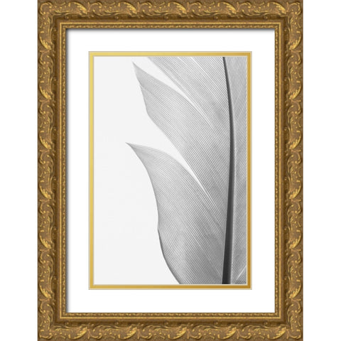 Studio III - Feather 004 Gold Ornate Wood Framed Art Print with Double Matting by Studio III