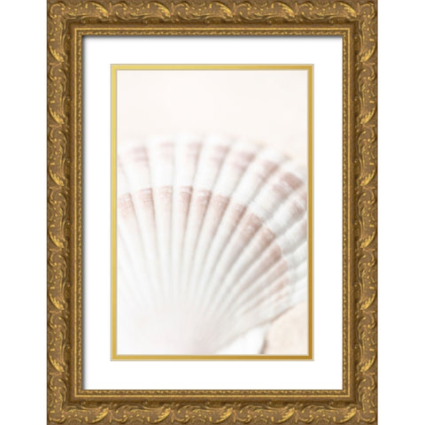 Studio III - Shell  Gold Ornate Wood Framed Art Print with Double Matting by Studio III