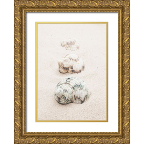 Studio III - Shells  Gold Ornate Wood Framed Art Print with Double Matting by Studio III