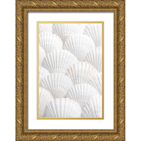 Studio III - Shells III  Gold Ornate Wood Framed Art Print with Double Matting by Studio III