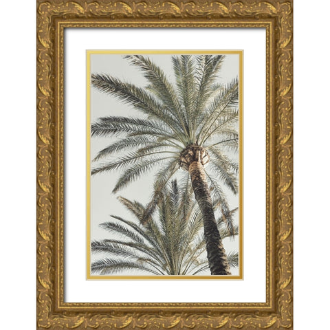 Studio III - Palm 005  Gold Ornate Wood Framed Art Print with Double Matting by Studio III
