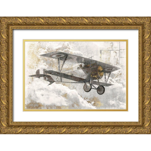 Airplane I  Gold Ornate Wood Framed Art Print with Double Matting by Roozbeh