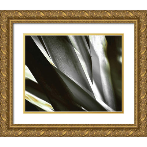 Transparent Gold Ornate Wood Framed Art Print with Double Matting by PI Studio