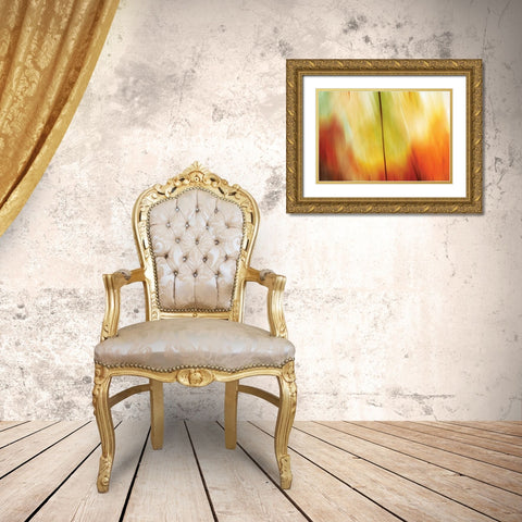 Tie Dye I Gold Ornate Wood Framed Art Print with Double Matting by PI Studio