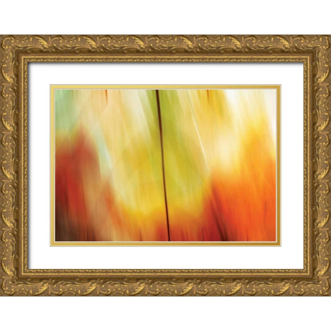 Tie Dye I Gold Ornate Wood Framed Art Print with Double Matting by PI Studio