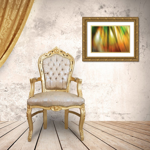 Tie Dye II Gold Ornate Wood Framed Art Print with Double Matting by PI Studio